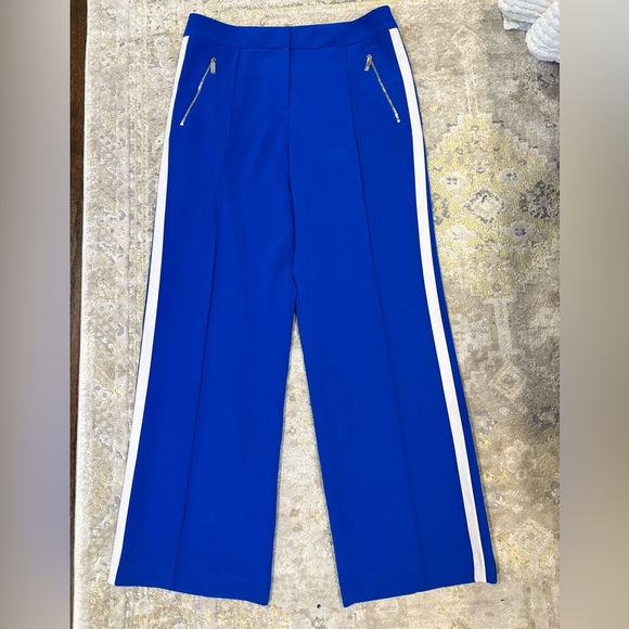 Ted Baker London Blue Stripe Pants - Picture 3 of 14